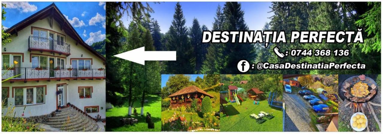 Casa Destinatia Perfecta Villa Brasov Ngoại thất bức ảnh